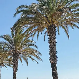 https://studio-plage.topcostabravahotels.com